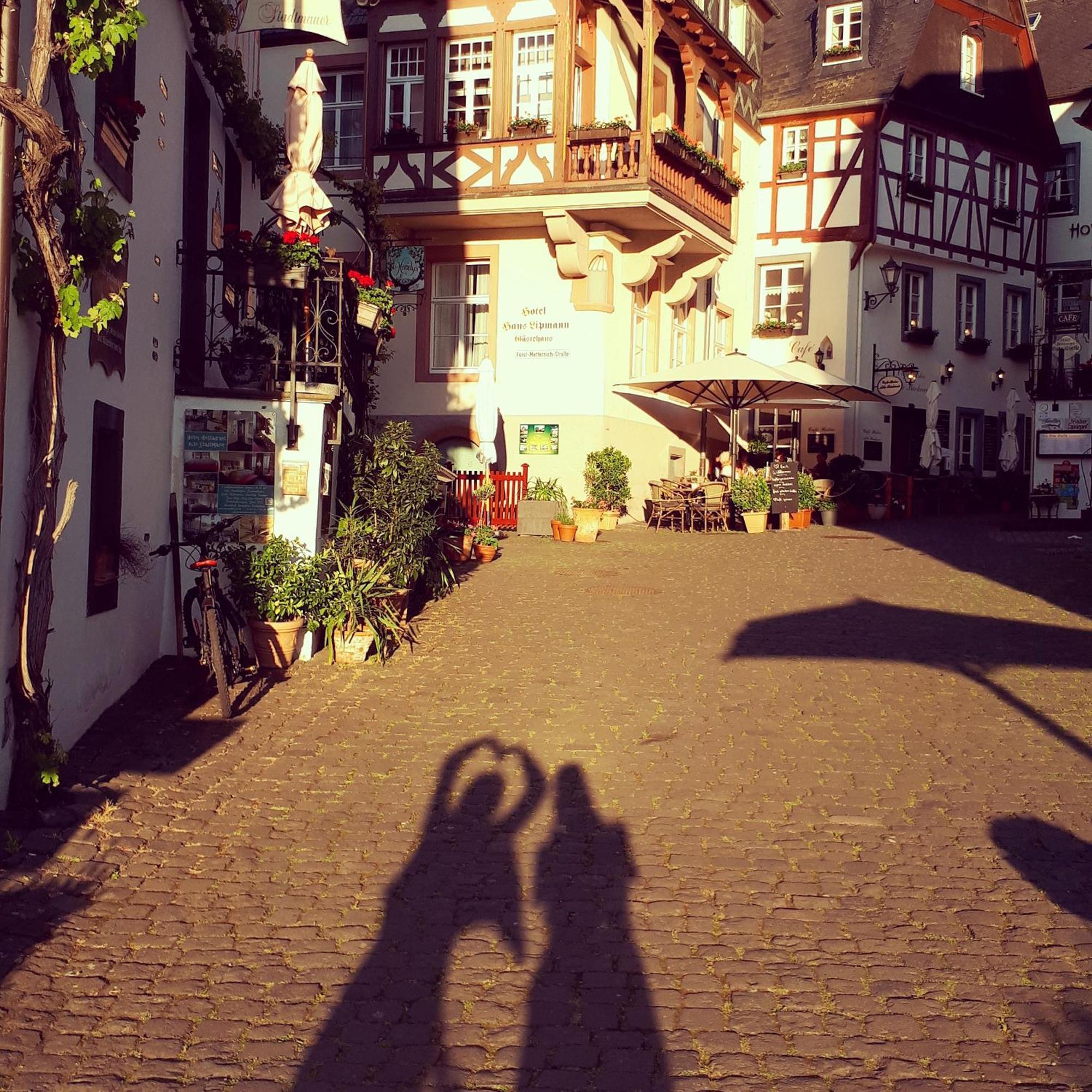 Hotel Restaurant Alte Stadtmauer Beilstein  Kültér fotó