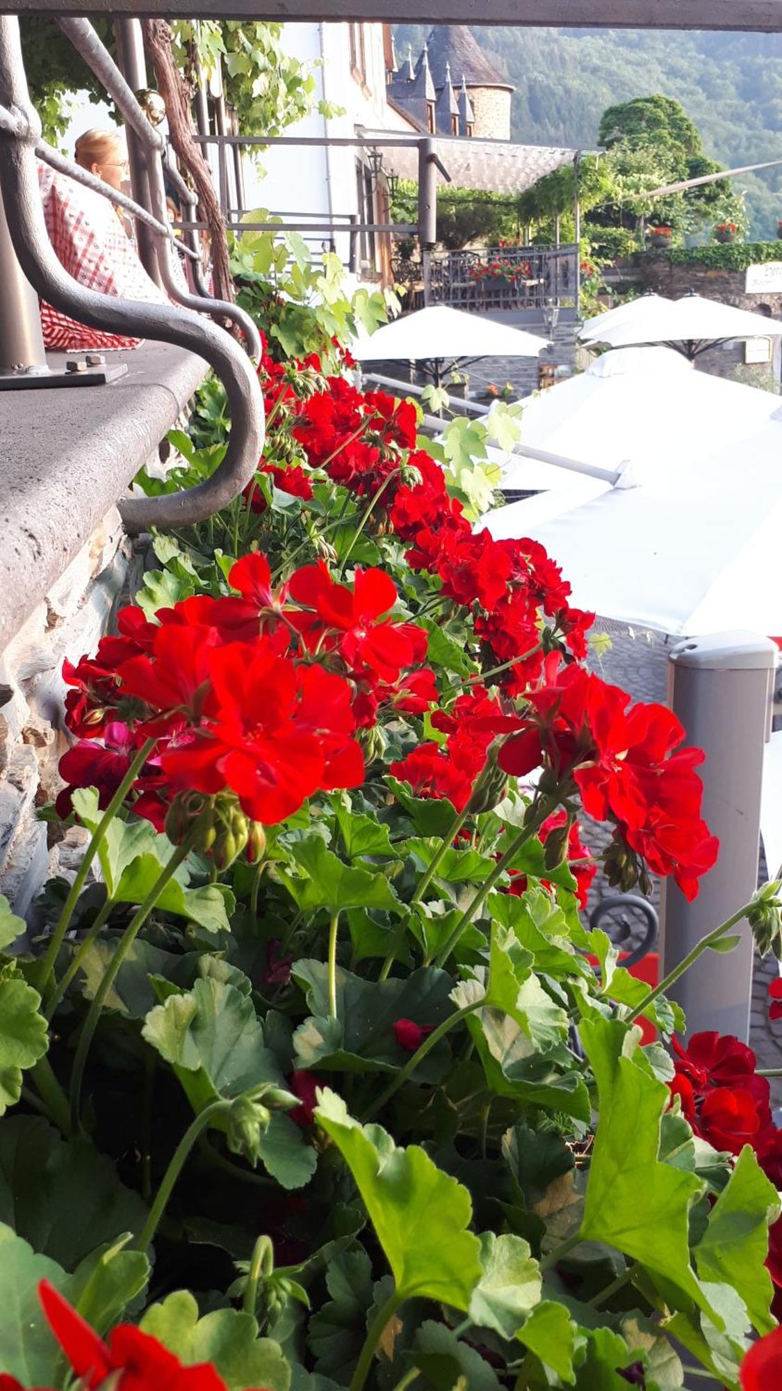 Hotel Restaurant Alte Stadtmauer Beilstein  Kültér fotó